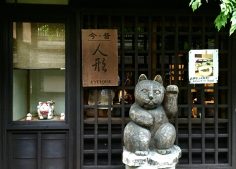 Holiday cancelled? Don’t worry, Japan awaits…